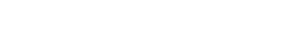 Zoom Logo